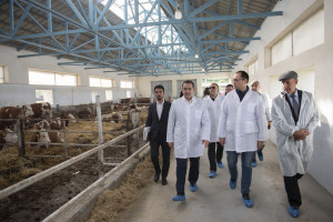 Nazir Məcnun Məmmədov Qarabağda təsərrüfatlara baş çəkib, fermerlərlə görüşüb