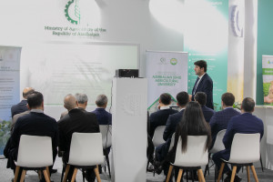 COP29: AKİA-nın təşəbbüsü ilə “İqlim dəyişikliyinə dayanıqlı aqrar sektor üçün innovativ yanaşmalar və birgə əməkdaşlığın rolu” mövzusunda tədbir keçirilib