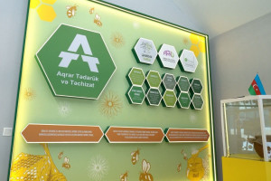 “Şəhərdən Kəndə” layihəsi çərçivəsində Lənkəranda Arıçılıq Muzeyinin açılışı olub