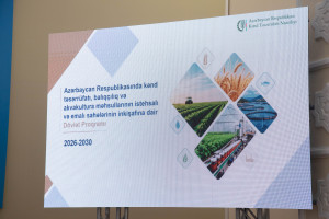 Saatlıda aqrar sahədə yeni Dövlət Proqramının müzakirəsi ilə bağlı regional müşavirə keçirilib