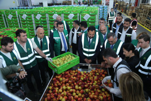 Kənd Təsərrüfatı Nazirliyi ilə Veysəloğlu Şirkətlər Qrupu arasında  işgüzar görüş keçirilib