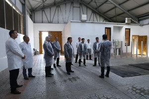 Göygöldə heyvan sağlamlığı məsələləri müzakirə olunub