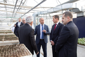 Latviya nümayəndə heyəti Tərəvəzçilik Elmi-Tədqiqat İnstitutunun fəaliyyəti ilə tanış olub