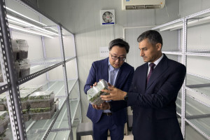 Azərbaycan nümayəndə heyəti Çində pambıqçılıqda innovativ əkin və avtomatlaşdırılmış yığım texnologiyaları ilə tanış olub