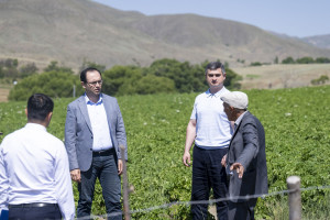 Nazir Məcnun Məmmədov Lerikdə təsərrüfatlara baxış keçirib, fermerlərlə görüşüb