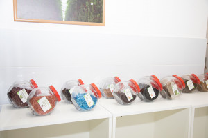 Latviya nümayəndə heyəti Tərəvəzçilik Elmi-Tədqiqat İnstitutunun fəaliyyəti ilə tanış olub