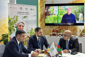 COP29: Kənd Təsərrüfatı Nazirliyinin pavilyonunda “Şəhərdən Kəndə” və “AFAQ” layihələrinin təqdimatı keçirilir