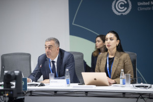 COP29 çərçivəsində “Aqro-ərzaq sisteminin transformasiyasının maliyyələşdirilməsi” mövzusunda panel müzakirə keçirilib