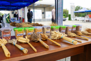 Tovuzda Aqrar Biznes Festivalı və Toxum Sərgi-Satış Yarmarkası keçirilib