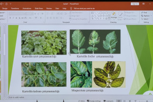 Aqrar sığorta eksperti olmaq istəyənlər üçün növbəti təlimlər keçirilib