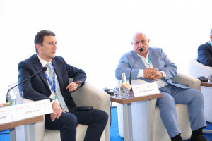 Panel discussions continue within the framework of the “III International Agrarian Innovation Forum”