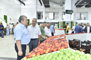Xaçmazda Aqrar Biznes Festivalı və Şaftalı Festivalı keçirilib