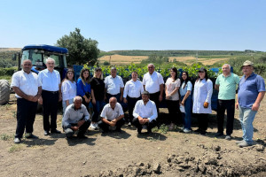 Şamaxıda Moldovanın ekoloji stress amillərinə davamlı üzüm sortlarından ibarət nümayiş bağı salınıb