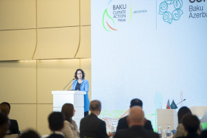 Next events are held within the Baku Climate Action Week