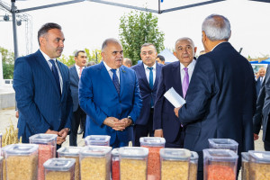 Tovuzda Aqrar Biznes Festivalı və Toxum Sərgi-Satış Yarmarkası keçirilib