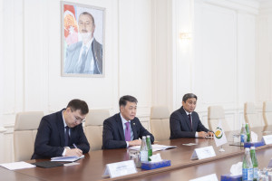 Nazir Məcnun Məmmədov Ərzaq Təhlükəsizliyi üzrə İslam Təşkilatının baş direktoru Berik Arın ilə görüşüb