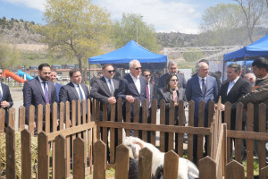 Laçın rayonunda Aqrar Biznes Festivalı keçirilib