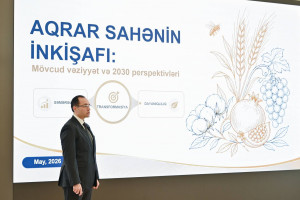 Prezident İlham Əliyevin sədrliyi ilə kənd təsərrüfatı məsələlərinə həsr olunmuş müşavirə keçirilib
