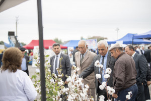 İmişli rayonunda Aqrar İnnovasiya Festivalı keçirilib