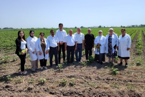 Pambıq sahələrində zərərli orqanizmlərə qarşı bioloji mübarizəyə dair tarla seminarı keçirilib