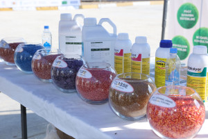 Hacıqabulda növbəti Aqrar Biznes Festivalı və toxum sərgi-satış yarmarkası keçirilib