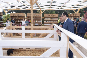 “Caspian Agro 2026” and “InterFood Azerbaijan” exhibitions were reviewed