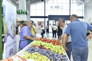 Xaçmazda Aqrar Biznes Festivalı və Şaftalı Festivalı keçirilib