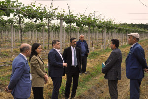 Elm, təhsil və insan resursları şöbəsinin müdiri İlham Süleymanov Lənkəranda vətəndaşları qəbul edib, təsərrüfatlara baş çəkib