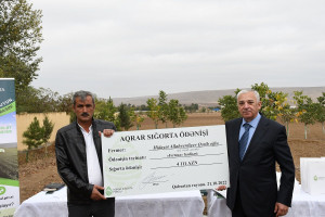 Aqrar Sığorta Fondu fermerlərə sığorta ödənişlərini davam etdirir