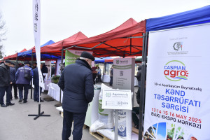 İmişli rayonunda Aqrar Biznes Festivalı keçirilib