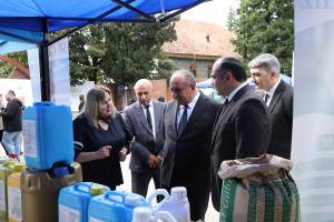 Balakən və Qax rayonlarında toxum sərgi-satış yarmarkaları keçirilib