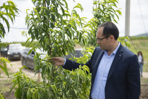 Nazir Məcnun Məmmədov Qarabağda təsərrüfatlara baş çəkib, fermerlərlə görüşüb