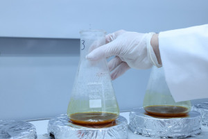AXA-nın Mərkəzi Laboratoriyasında “Açıq qapı” günü keçirilib