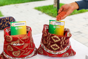 Tovuzda Aqrar Biznes Festivalı və Toxum Sərgi-Satış Yarmarkası keçirilib