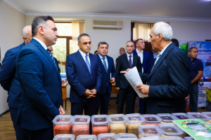 Goranboyda “Aqrar sahədə dövlət dəstəyi mexanizmləri” mövzusunda panel müzakirəsi keçirilib