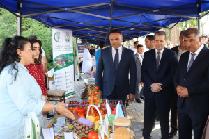 Samux rayonunda ilin ilk məhsul festivalı keçirilib
