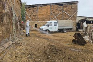 Dövlət Proqramının prioritet istiqamətləri üzrə baytarlıq xidmətlərinin gücləndirilməsi davam etdirilir