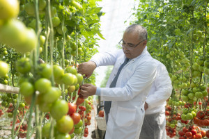 Field trips to innovative farms organized within the framework of the “Caspian Agro Week” exhibition