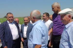 Beyləqanda “Yerli və introduksiya olunmuş pambıq sortlarının quraqlığa, xəstəliklərə və şoranlığa davamlılığı” mövzusunda tarla seminarı keçirilib