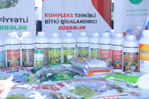 Hacıqabulda növbəti Aqrar Biznes Festivalı və toxum sərgi-satış yarmarkası keçirilib