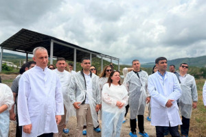 Aqrar Xidmətlər Agentliyinin əməkdaşları Xocalıda damazlıq heyvandarlıq kompleksi ilə tanış olublar