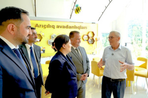 “Şəhərdən Kəndə” layihəsi çərçivəsində Lənkəranda Arıçılıq Muzeyinin açılışı olub