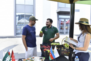 Xaçmazda Aqrar Biznes Festivalı və Şaftalı Festivalı keçirilib