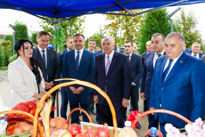Tovuzda Aqrar Biznes Festivalı və Toxum Sərgi-Satış Yarmarkası keçirilib