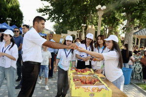 Samux rayonunda ilin ilk məhsul festivalı keçirilib