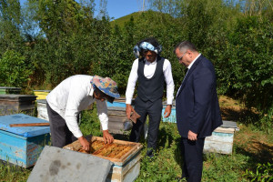 Kənd təsərrüfatı nazirinin müavini Zaur Əliyev Yardımlıda vətəndaşlarla görüşüb, təsərrüfatlara baş çəkib