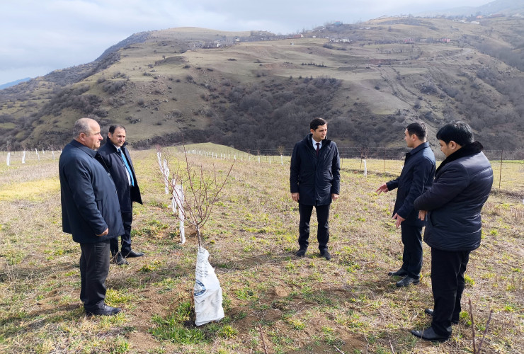 Aqrar Sığorta Fondunun İdarə Heyətinin sədri Fuad Sadıqov Lerikdə vətəndaşları qəbul edib, təsərrüfatlara baş çəkib