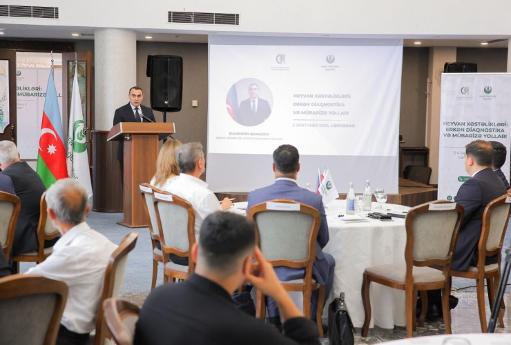 Dövlət Proqramının prioritet istiqamətləri üzrə beynəlxalq təcrübəyə əsaslanan təlim keçirilir