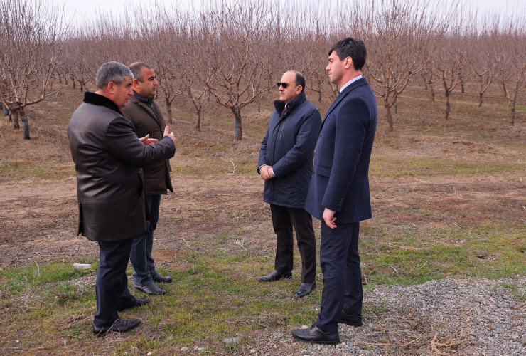 AKİA sədri Yalçın Camalov Füzulidə vətəndaşları qəbul edib, təsərrüfatlara baş çəkib